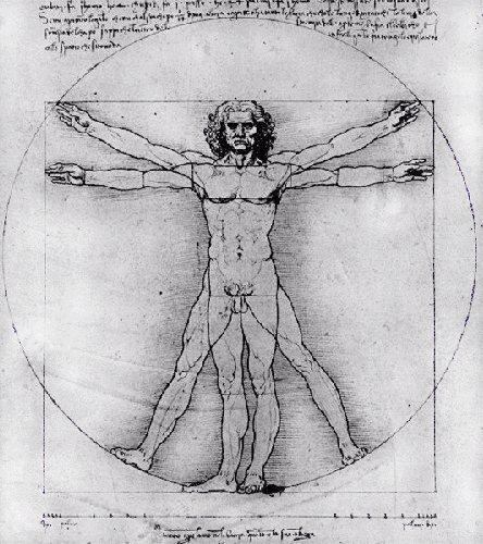 Vitruvian de Leonardo da Vinci